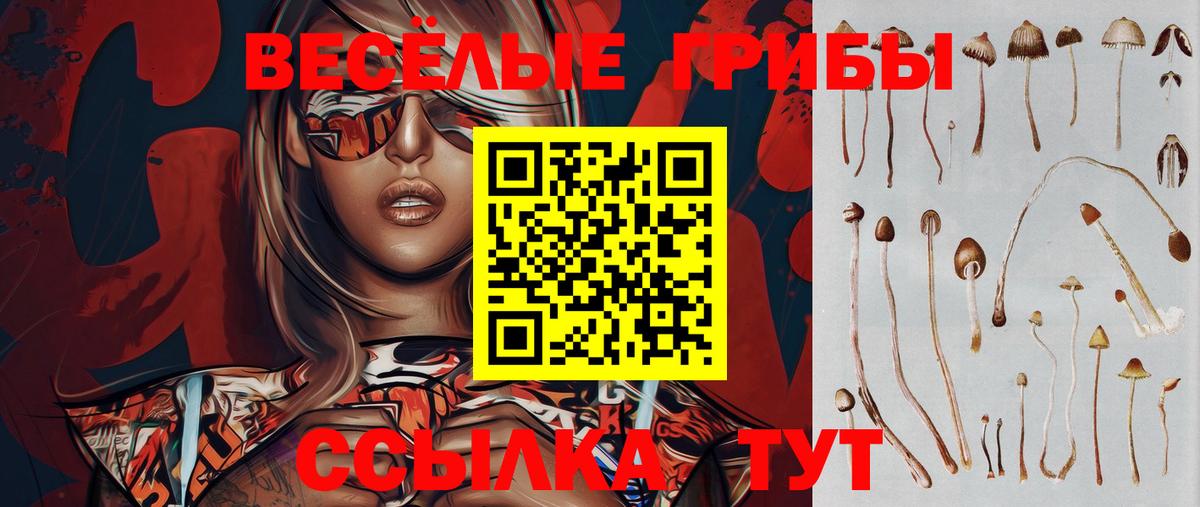Галлюциногенные грибы Psilocybine cubensis  Вход с VPN  Кудымкар 